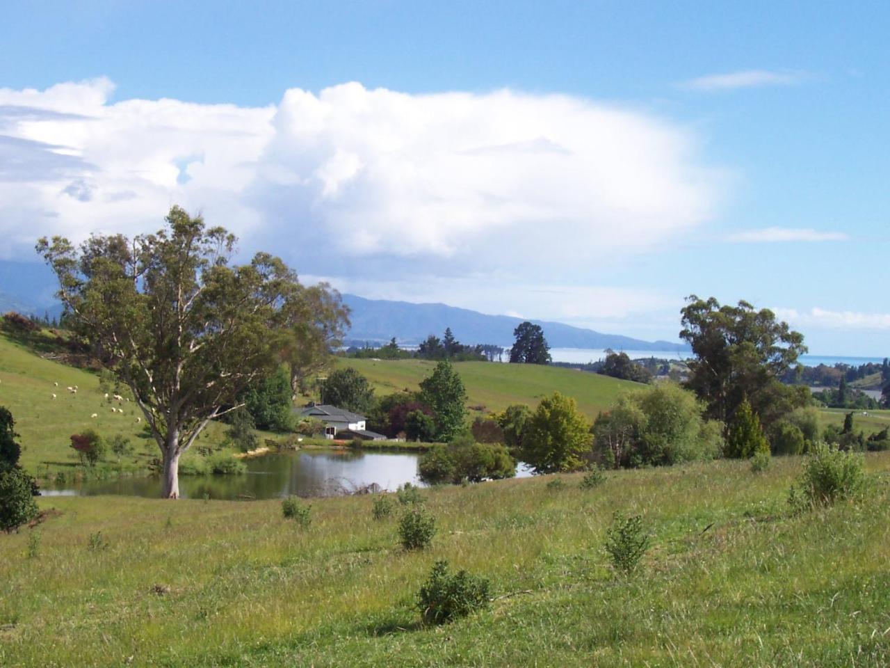 Tasman Farmstay Retreat Glenmhor Екстериор снимка
